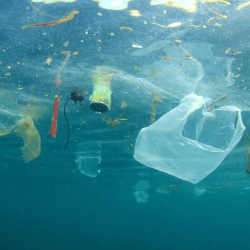 Plastic polution