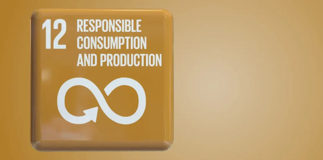 Circular Economy Principles