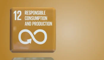 Circular Economy Principles