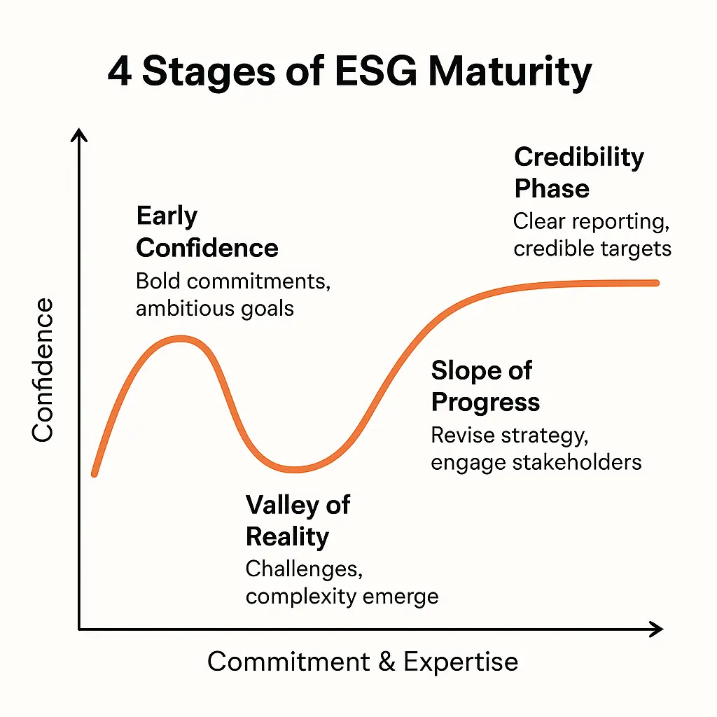 sustainability strategy pitfalls
