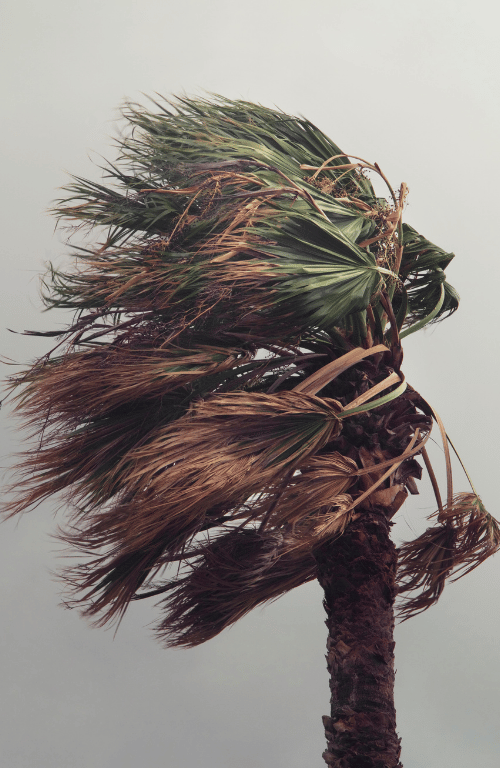 Untitled design (4) IFRS S1 and S2